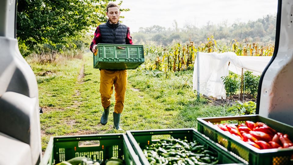 46.000 Limburgers te weinig aan het werk